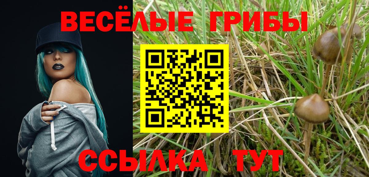 Галлюциногенные грибы Magic Shrooms Слободской