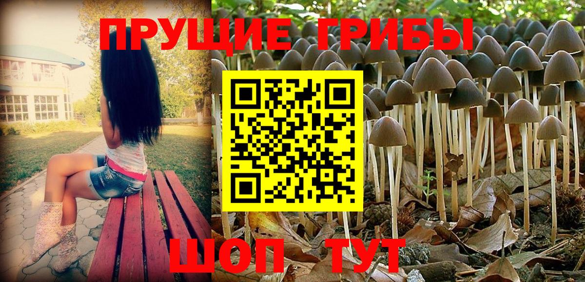Слободской  магазин продажи наркотиков  Вход с VPN  Галлюциногенные грибы прущие грибы 
